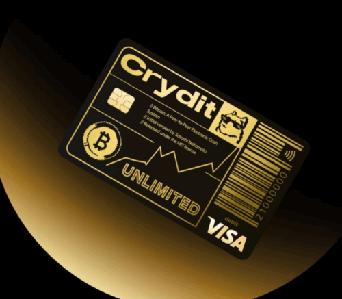 8518818b-b17b-4771-82cc-c03a629eea6f crydit星展银行visa美元U卡 成品卡 已实名 到手直接用 支持更换自己的手机和邮箱  大额取现消费最佳选择