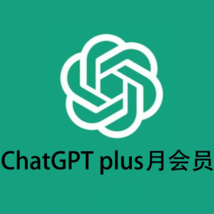 ChatGPT 官方卡密充值  plus月会员 (整月质保)